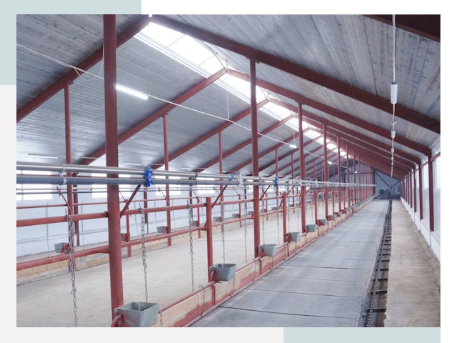 Строительство коровников в Наро-Фоминске от 615 руб.