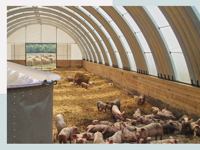 Строительство свинарников в Наро-Фоминске